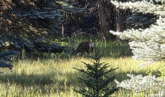201 Golden Forest Rd, Bayfield, CO 81122