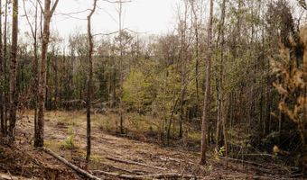 US Hwy 98, Beaumont, MS 39423