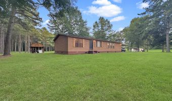 704 Pinola Braxton Rd, Braxton, MS 39044