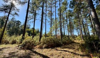 TBD Binnicker Bridge Road, Bamberg, SC 29003