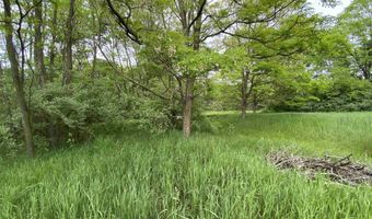 Parcel A Cemetery Road, Alden, MI 49612