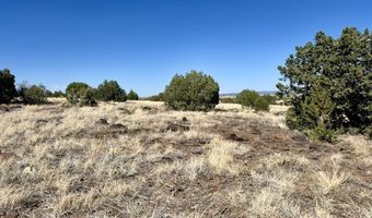Lot 46 W Rawhide Ranch Road, Ash Fork, AZ 86320