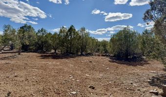 3321 Coconino Blvd, Ash Fork, AZ 86320