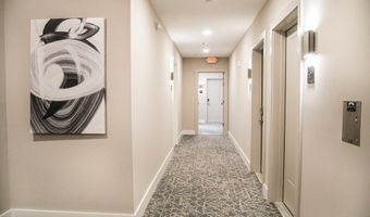 38 Hichborn 204, Boston, MA 02135