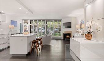 800 E Hopkins Ave A-3, Aspen, CO 81611