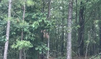 HIGHWAY 191 lot 33, Alpine, AL 35014