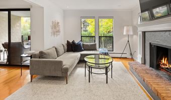 980 E Hyman Ave 3, Aspen, CO 81611