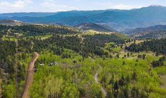 1800 Robinson Hill Rd, Black Hawk, CO 80422