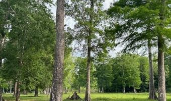 Tbd CORKWOOD LANE, Astatula, FL 34705