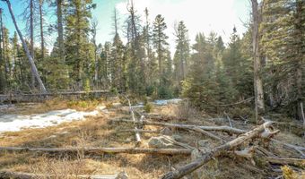 1004 And 1005 El Camino Real, Angel Fire, NM 87710