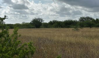 County Road 119, Alice, TX 78332