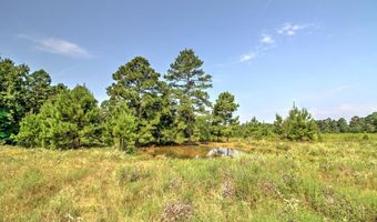 210 CR 2823, Alto, TX 75925