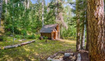 4558 Middle Mountain Rd, Bayfield, CO 81122