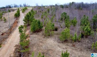 1500 PEACH ORCHARD Rd 1, Ashland, AL 36251