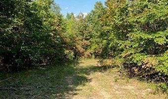 21 Church Road CR 114, Annapolis, MO 63620
