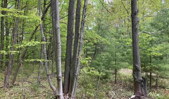 9718 NE FOREST LANE Dr, Alden, MI 49612