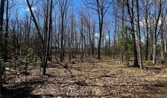 22 Acres On Willy Rd, Weyerhaeuser, WI 54895