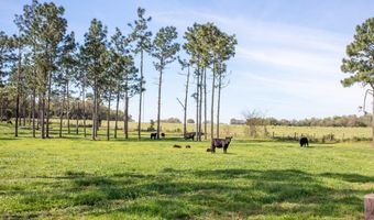 192 Breedlove Rd, Bainbridge, GA 39817