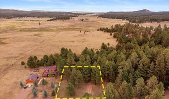 24 Co Rd 2065, Alpine, AZ 85920