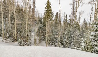 W Hunter Ridge Dr, Brian Head, UT 84719