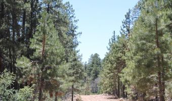 140 Jackalope Dr, Bayfield, CO 81122
