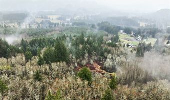 NE 197th Ct, Amboy, WA 98601