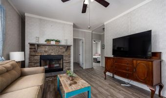 3670 NW 20TH Ave, Bell, FL 32619
