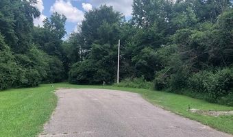 LYNNWOOD Cv, Adamsville, TN 38310