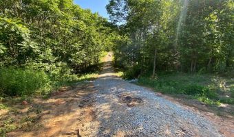 Tract 2 Hwy 51S, Homer, GA 30547