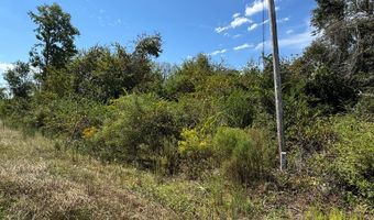 0 Lake Mayers Rd, Baxley, GA 31513