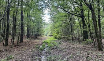 Pine Lodge Road, Batesville, MS 38606