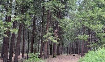 3129 Crystal Way, Arnold, CA 95223