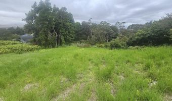 64-635 KOLOHALA Pl, Kamuela, HI 96743