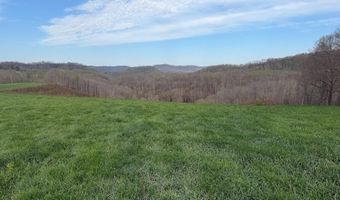 1999 Snake Run Rd, Alderson, WV 24910