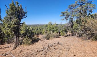 Tbd State Route 260, Clay Springs, AZ 85923
