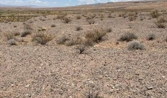 4755 Gold Butte Rd, Bunkerville, NV 89007