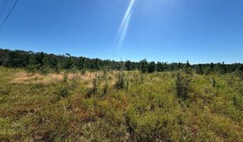 00 50th Ave, Bell, FL 32619