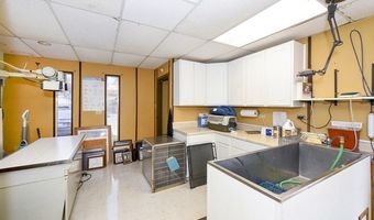 13039 Nacogdoches Rd, San Antonio, TX 78217