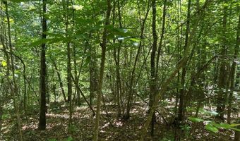 Fortner Road, Ball Ground, GA 30107