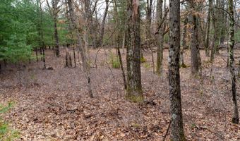 Dover Drive lot 1 14 Ac, Adams, WI 53910