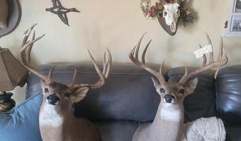 3 Shady Grove Rd, Bennington, OK 74723