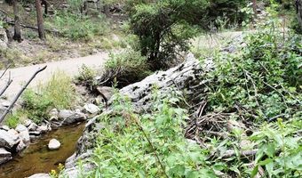 25653 Buckhorn Rd, Bellvue, CO 80512