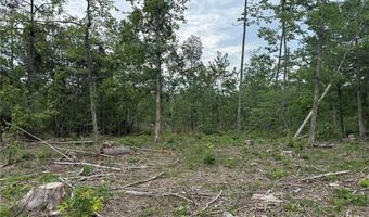 Tract 4 Hidden Valley, Annapolis, MO 63628