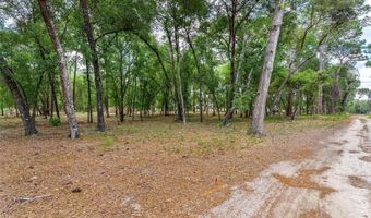 SE 152ND - LOT 17 RAVENSWOOD RD PARCEL C Place, Altoona, FL 32702