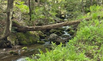 Peaked Hill Road, Bristol, NH 03222