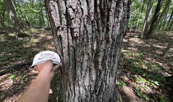 COLVIN SPRINGS ROAD 6, Ashville, AL 35953