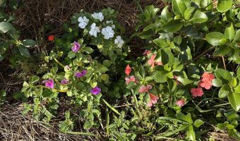 2687 Linda Ln, Alford, FL 32420