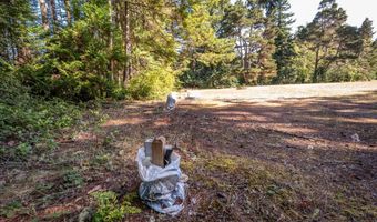 56060 WHEELER Rd, Bandon, OR 97411