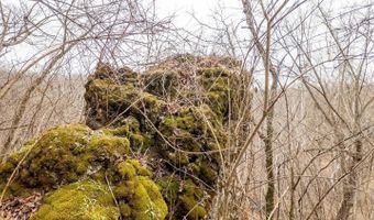 County Road 19-A, Alton, MO 65606