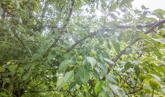 000 County Road 302, Alton, MO 65606
